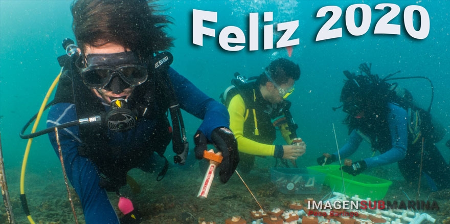 Feliz 2020 con muchos buceos