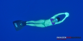 Buscando a la sirena