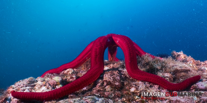 El nacimiento de millones de estrellas