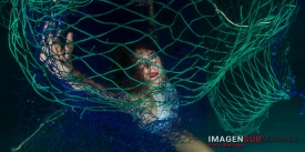 Redes Fantasma. El poder de la imagen.