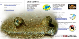 Actualizaci&oacute;n de la Gu&iacute;a de Buceo de El Hierro