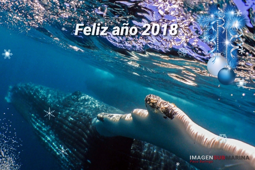 Felices fiestas y prospero a&ntilde;o 2018